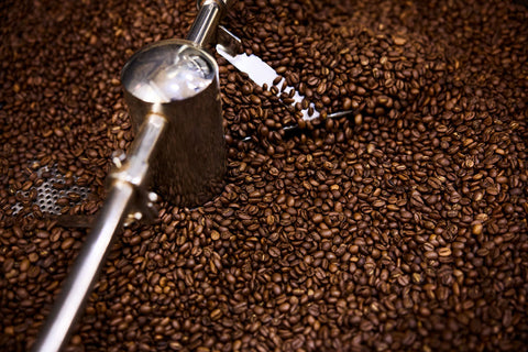 Shop Single Origin