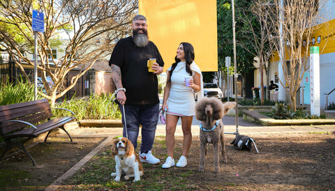 Little Dog, Big Dog ALT